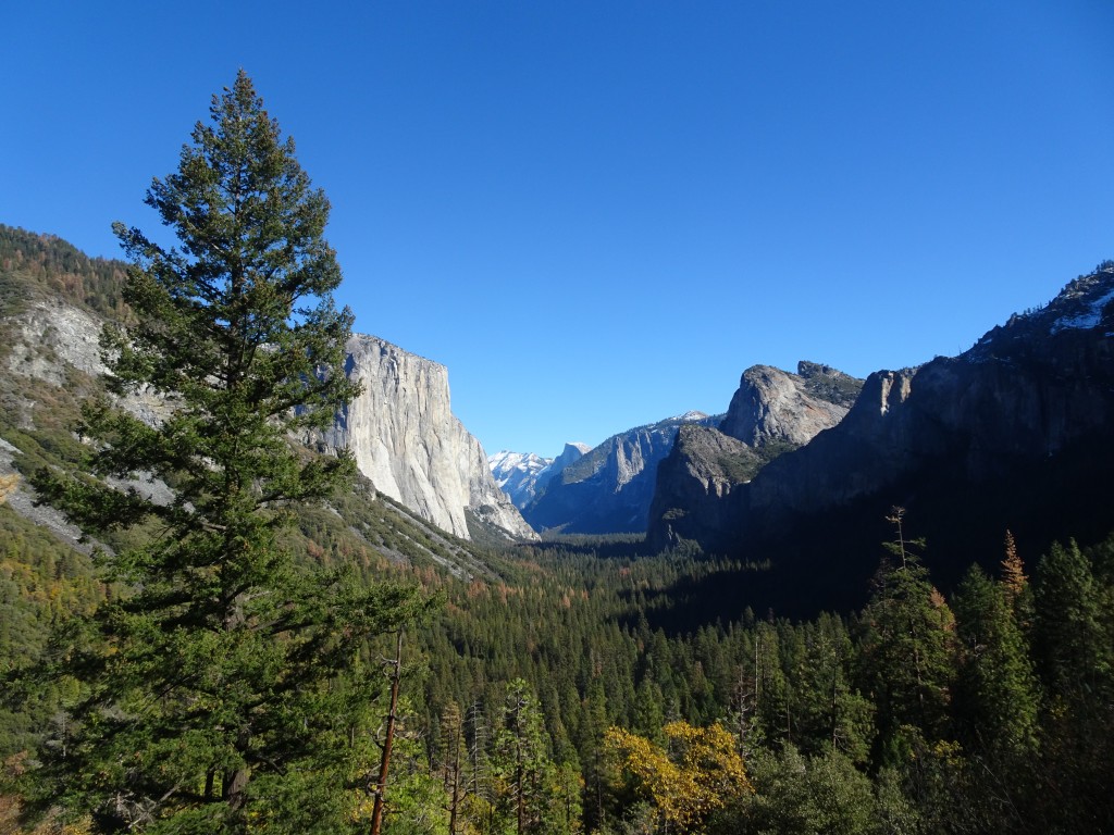 El Capitan at Yosemite