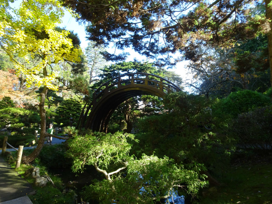 A Stroll Through San Francisco's Japanese Tea Garden