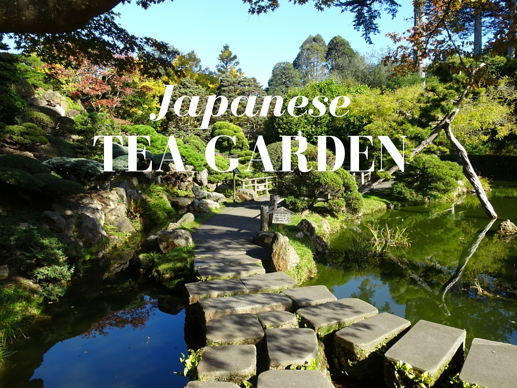 A Stroll Through San Francisco's Japanese Tea Garden